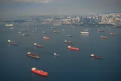 To turn carbon ambitions into reality, leaders must be adaptable in their strategies; address investor dissonance; decarbonise with the customer in mind; be focused in collaboration; and empower middle management.