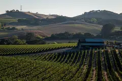 Napa has long been the US’ primo wine destination, noted for high-end accommodations and pricey dining rooms. 