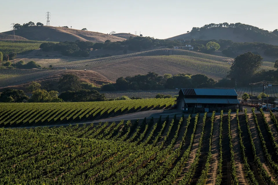 Napa has long been the US’ primo wine destination, noted for high-end accommodations and pricey dining rooms. 