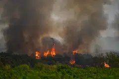 The authors of the 2024 paper acknowledged methodological flaws and on Wednesday uploaded a corrected version, which has not yet been peer-reviewed.