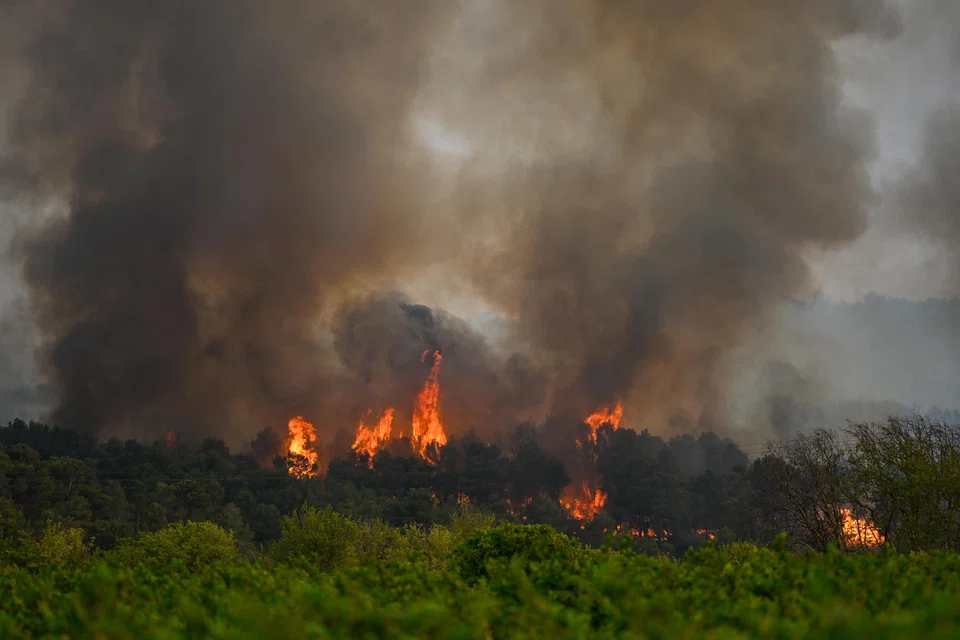 The authors of the 2024 paper acknowledged methodological flaws and on Wednesday uploaded a corrected version, which has not yet been peer-reviewed.