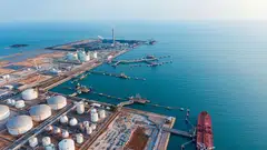 The primary objective of the centralised gas entity “is to procure and supply gas to meet Singapore’s power generation needs, not to maximise profits”, says Second Minister for Trade and Industry Tan See Leng.