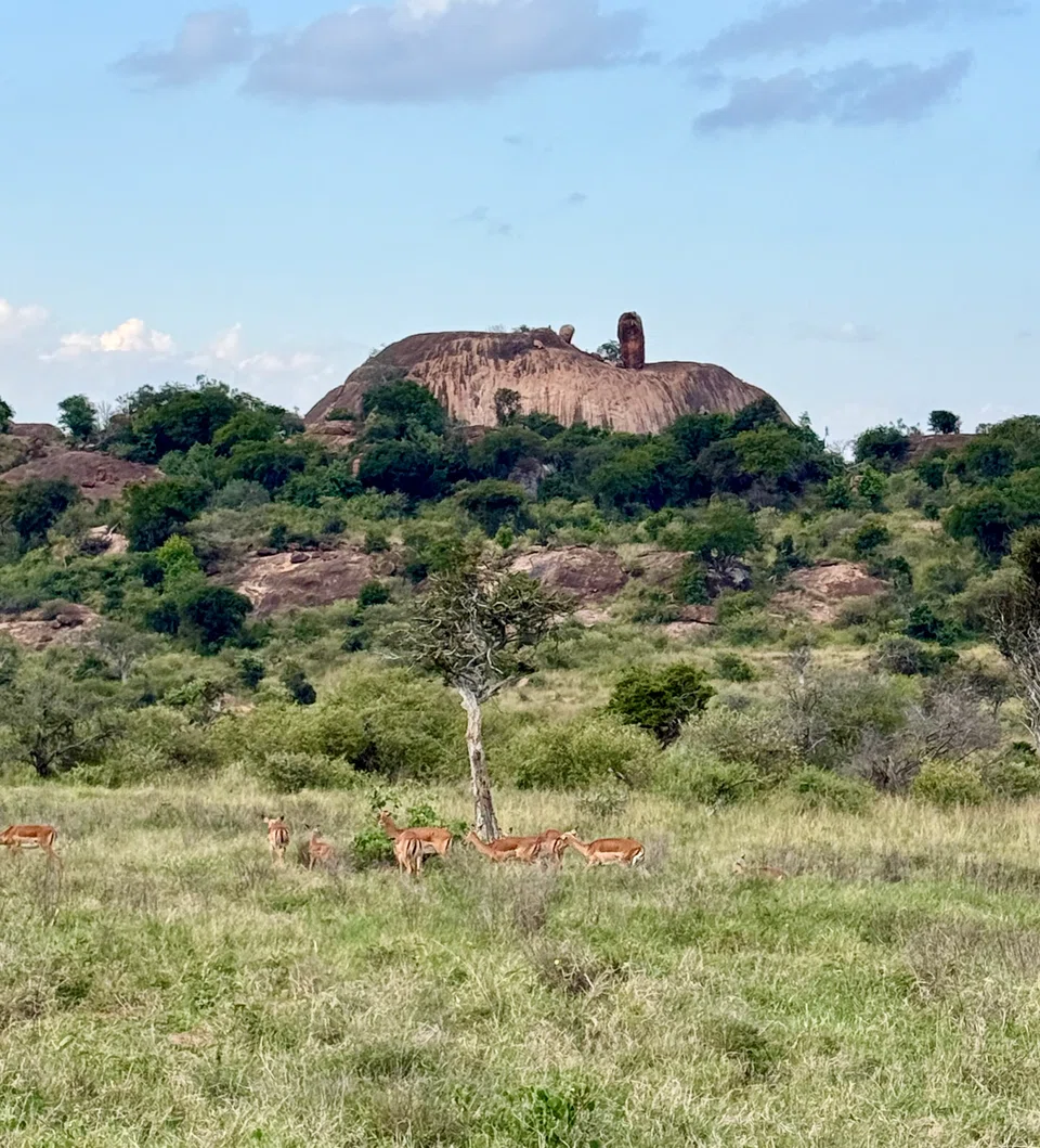 Impala gather against the back drop of an ancient rock formation with a mysterious, tombstone like boulder on top.