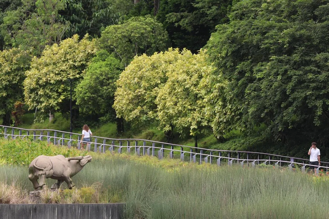 Sustainability is no longer just a buzzword, but a strategic priority for corporate Singapore.