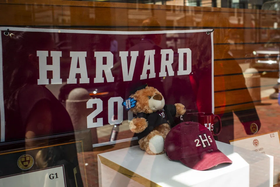 A cable signed by US Secretary of State Marco Rubio and seen by AFP orders embassies and consulates not to allow “any additional student or exchange visa... appointment capacity until further guidance is issued.”