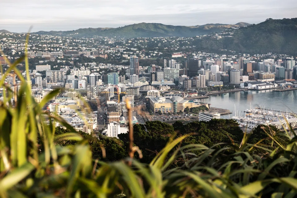New Zealand's economy is running near full capacity and the central bank has been driving up borrowing costs to try to keep inflation expectations anchored. 
