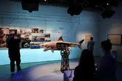 With more than 200 artifacts spread across several galleries, “Jaws: The Exhibition” is the largest display dedicated to a single film at the Academy Museum. 