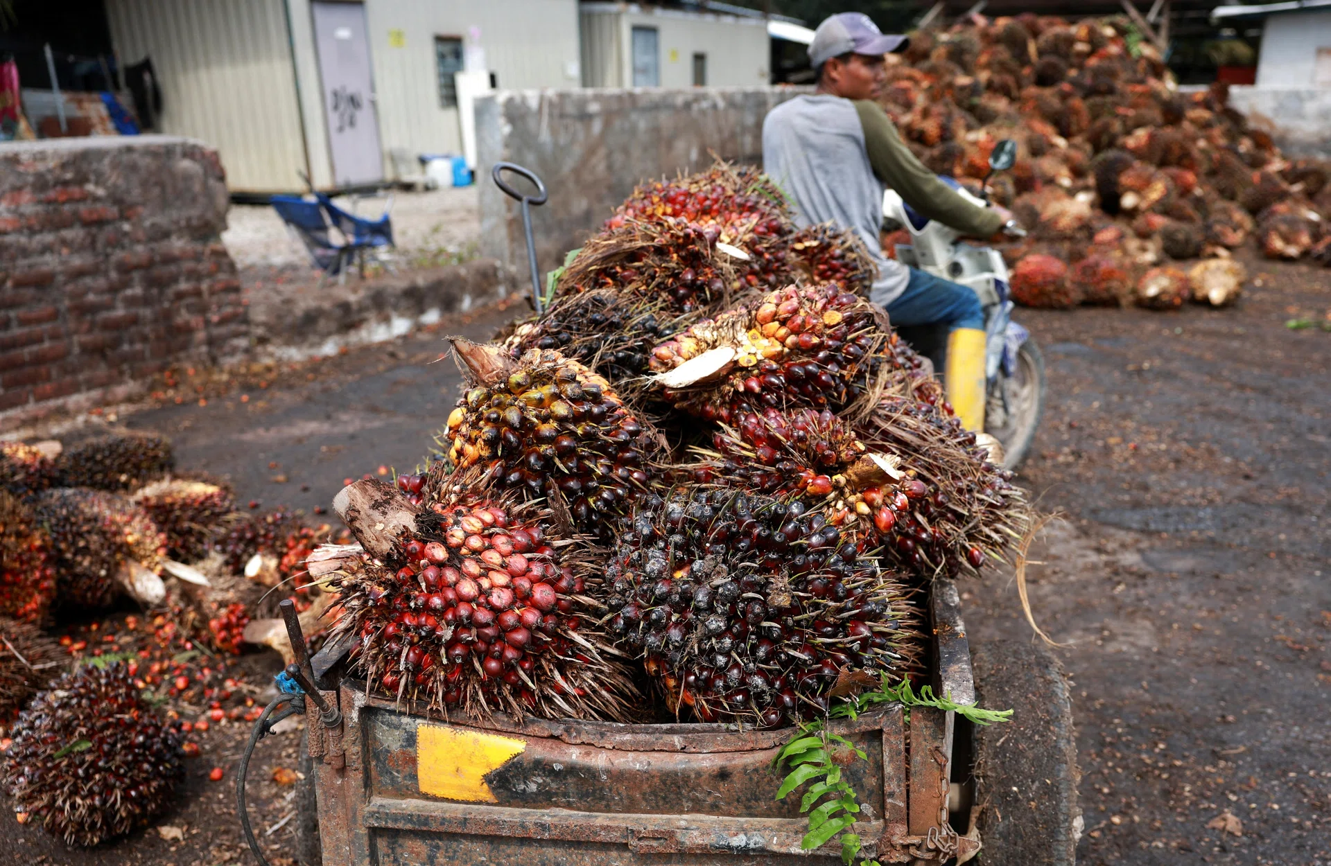 Malaysia's Felda, FGV say Terengganu land spat could disrupt operations