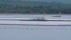 A change in law would enable solar farms in Thailand to sell electricity directly via transmission lines.