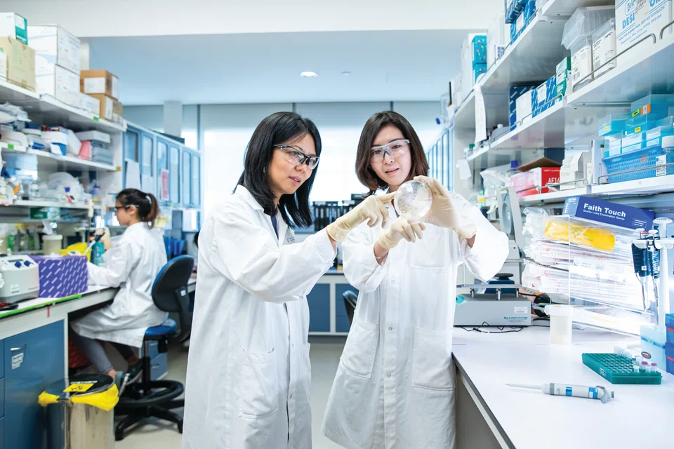 A*Star seeks to grow a strong pipeline of STEM talent, nurture entrepreneurial scientists, and attract global expertise to build a resilient, future-ready workforce for Singapore’s innovation economy.