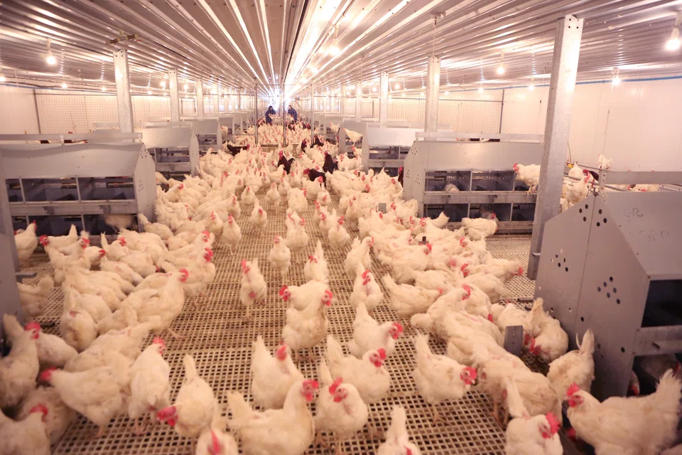 Japfa, a player in the agri-food industry, had proposed an off-market purchase of its ordinary shares at 35.5 Singapore cents apiece.