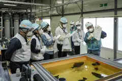 A look inside the marine organisms rearing test facility at Fukushima Daiichi nuclear power plant on June 28, 2024. Plant operator Tepco wants to show the world that water being discharged after treatment from the nuclear plant – the site of the 2011 nuclear disaster – is safe and has no negative impact on life underwater.
