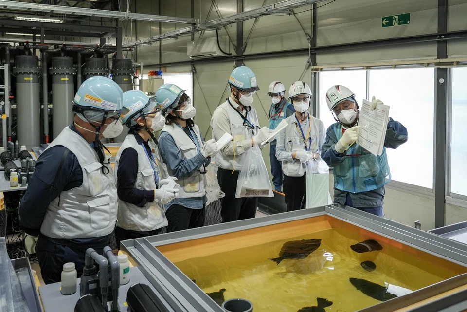A look inside the marine organisms rearing test facility at Fukushima Daiichi nuclear power plant on June 28, 2024. Plant operator Tepco wants to show the world that water being discharged after treatment from the nuclear plant – the site of the 2011 nuclear disaster – is safe and has no negative impact on life underwater.