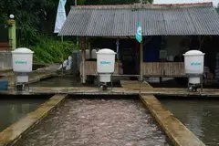 The company deploys feeders to fish and shrimp farmers in Indonesia.