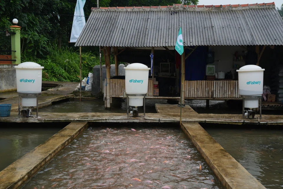 The company deploys feeders to fish and shrimp farmers in Indonesia.