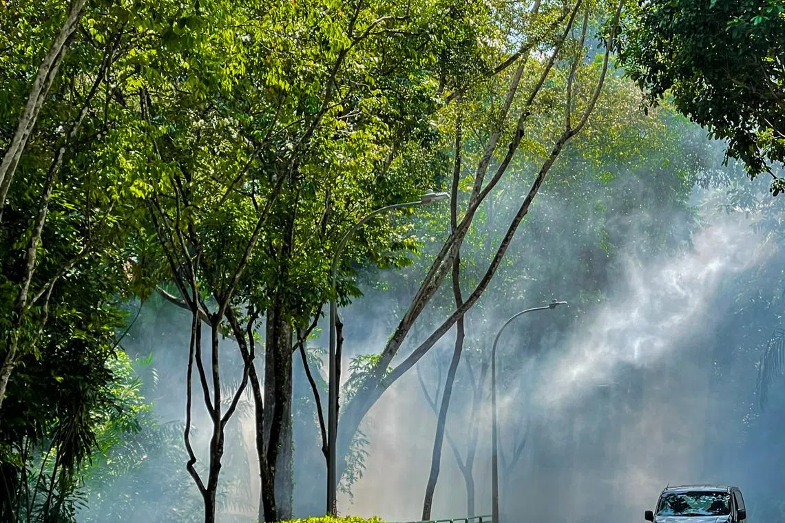 As carbon credits from the voluntary market are unregulated, there are concerns about the integrity and quality of such credits.