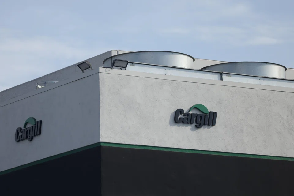 Cargill, a major grain merchant and US beef processor, is facing a downturn in returns in cattle, grains and oilseeds businesses.