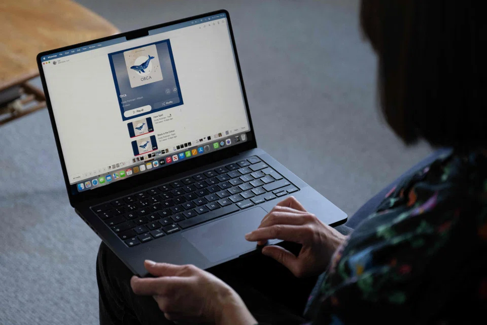 Scammers claiming to be artists approach distribution companies, which then upload the music online without any identity checks, Emily Portman says.