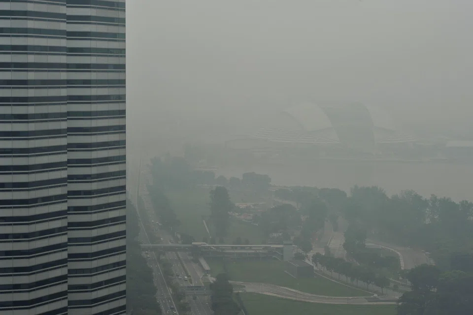 The last time South-east Asia experienced severe trans-boundary haze was in 2015.