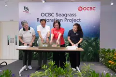 From left: Hwang Yu-Ning, chief executive, NParks; Tan Kiat How, senior minister of state for National Development and Digital Development and Information; Helen Wong, group chief executive, OCBC; and Dr Theresa Su, lecturer, NUS.