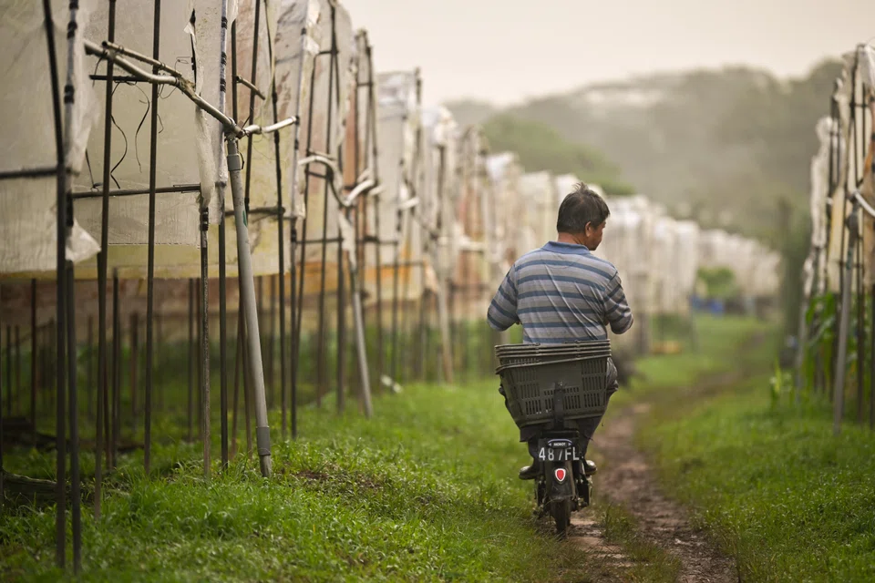 While we have long quantified primary goods produced on the land, such as timber or wheat, we have fallen short on measuring less-tangible assets such as the state of biodiversity, air, water and soil health. 