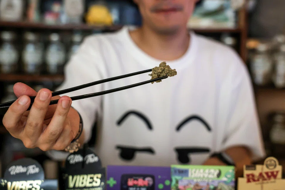 Some cannabis businesses, such as Shaggy Buds, remain optimistic that stricter regulations could elevate the industry by weeding out sub-standard stores.