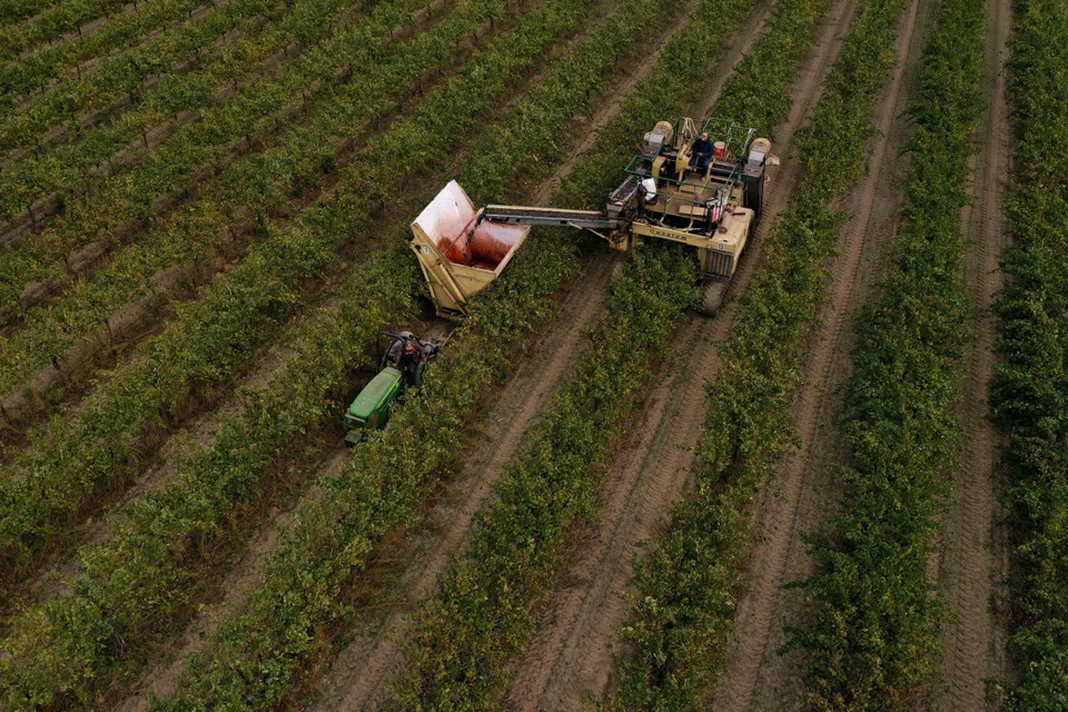 in the Northern Hemisphere, the US recorded “only a partial rebound” from 2024 levels.