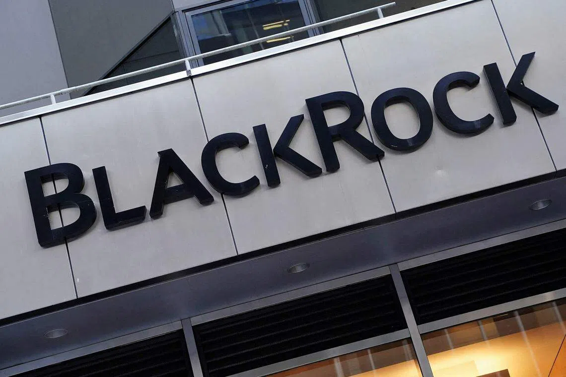 Around 22 organisations have issued a joint statement urging the government to reconsider and block BlackRock’s participation in the deal worth about US$2.6 billion to take Malaysia Airports Holdings (MAHB) private, alleging the firm has ties with Israel.