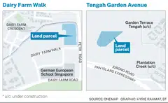 The two state-land sites at Dairy Farm Walk and Tengah Garden Avenue are expected to yield around 1,400 new private homes.