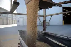 China is the world’s biggest buyer of barley and sorghum, and any sustained curbs on imports would deal a blow to farmers in top exporters such as Australia and the US.