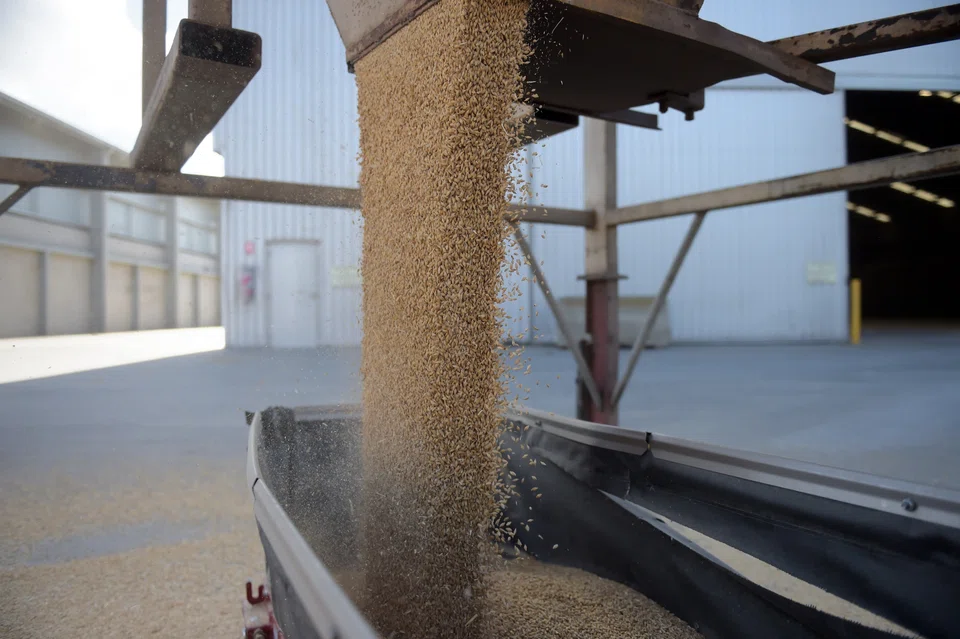 China is the world’s biggest buyer of barley and sorghum, and any sustained curbs on imports would deal a blow to farmers in top exporters such as Australia and the US.