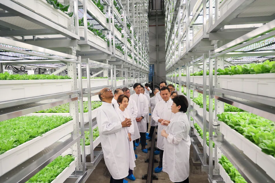 Greenphyto founder and CEO Susan Chong (right) speaking during a tour of the farm. With her at its official opening are guest of honour President Tharman Shanmugaratnam (left), Minister of Sustainability and the Environment Grace Fu (second from left) and the ministry's Senior Minister of State Zaqy Mohamad (second from right); Senior Minister of State in the Prime Minister’s Office Desmond Tan is fifth from left.