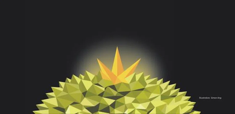 With the growing demand for durians, it’s no surprise that investors are exploring all sorts of ways to get a slice of the pie for themselves, be it as a farm owner or a property agent of land that houses durian plantations.