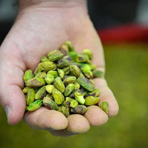 S’pore could see tighter supply of some foods