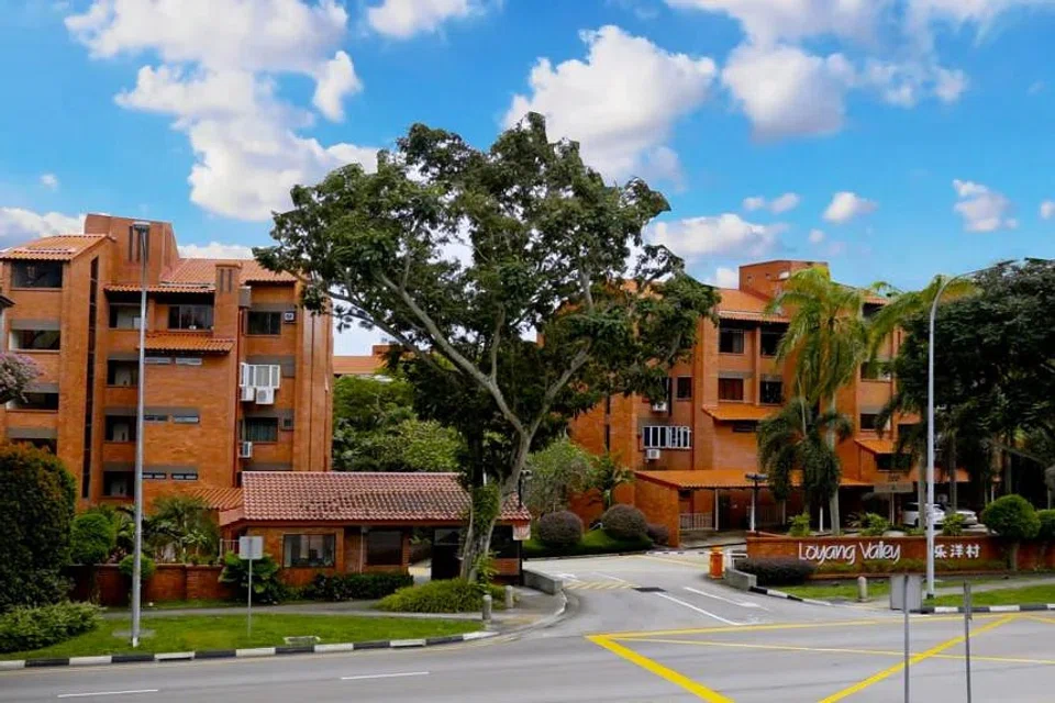 Loyang Valley, which has 59 years left on its lease, is located near the future Loyang MRT station. 