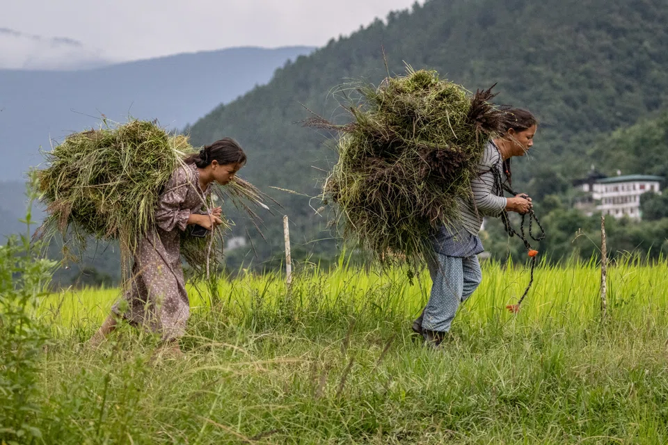 &amp;Beyond Punakha River Lodge offers the land in its compound to farmers rent-free. In return, the farmers supply the hotel with a portion of their harvest, and sell the surplus.