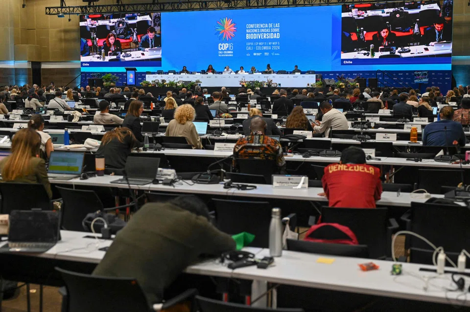 In Cali, setting up a new nature fund was a key demand of developing countries. They see the current fund, the Global Environment Facility’s Global Biodiversity Framework Fund, as dominated by rich countries that control the purse strings.