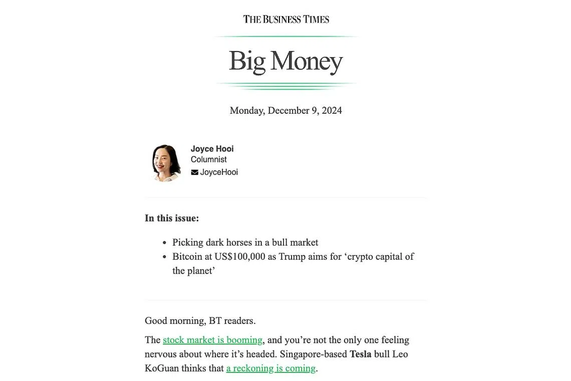 If you haven’t gotten in on any of the Magnificent Seven US megacap stocks, don’t despair even if the basket of stocks has advanced 60 per cent this year, writes BT columnist Joyce Hooi.
