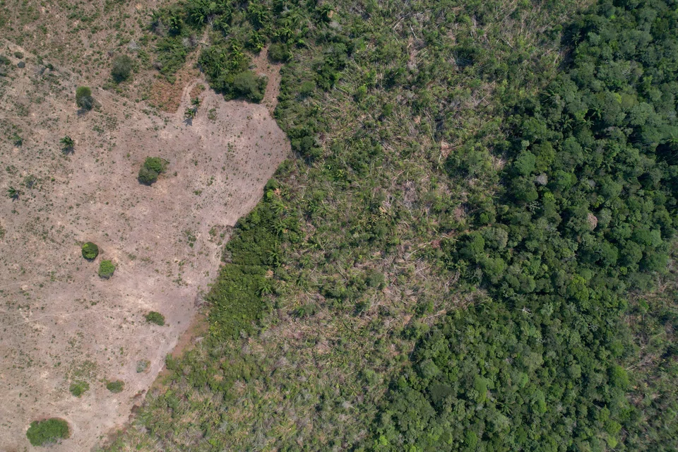 An area of 666 sq km was destroyed in the Amazon last month, up 33 per cent from the 500 sq km lost in July 2023.