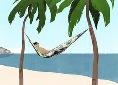 Partly because of politics, specific sectors and fixed-income instruments have been fluctuating. The Trump trade has been attributed to small moves in bond yields and in expectations of changes in transactions, from mergers and acquisitions to the exchange rate of the US dollar