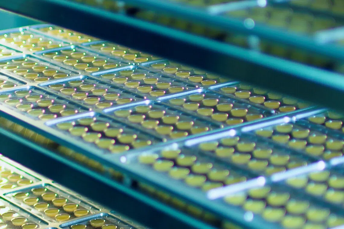 iX Biopharma has proposed a placement of new shares in the company at S$0.10 apiece.