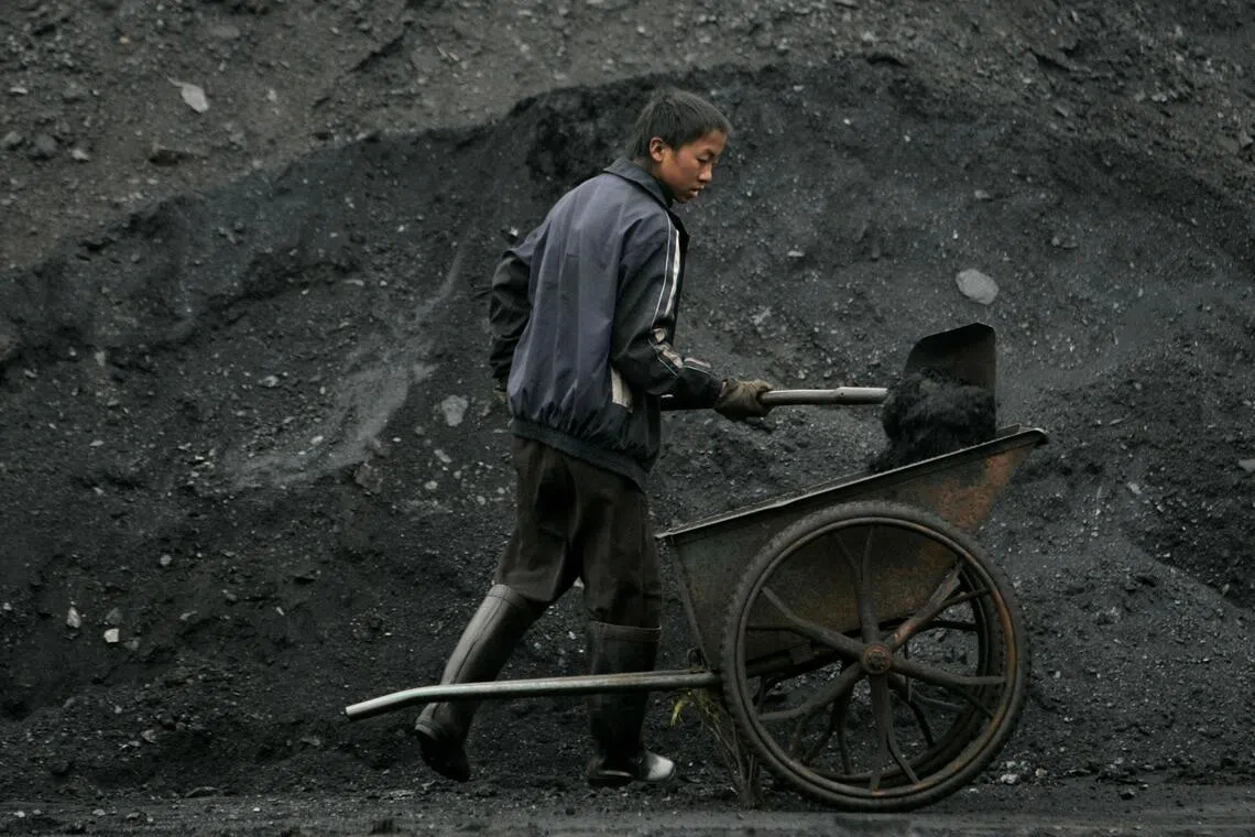 Chinese thermal coal prices have yet to reflect Indonesia’s plans, partly due to a lull in trading before the Chinese New Year.