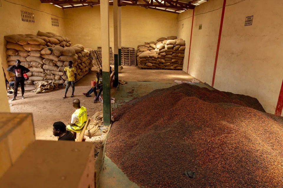 Ivory Coast’s 2024 to 2025 cocoa harvest is expected to be as much as 10 per cent higher than previous estimates.
