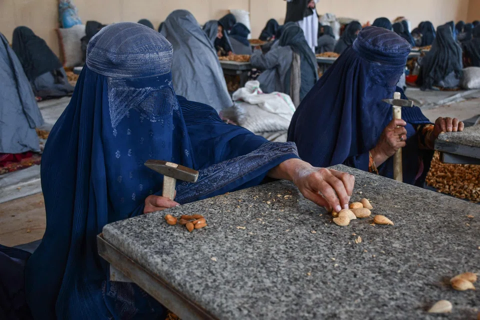 Afghan women workers prepare almonds at a factory. Women and girls have borne the brunt of restrictions – including being barred from public parks, universities and singing in public – which the United Nations has labelled “gender apartheid”.