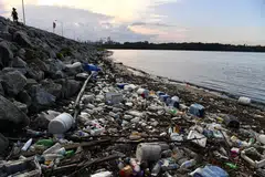 Just 14 per cent of the plastic packaging used globally is recycled, while 40 per cent ends up in landfills and 32 per cent in ecosystems, with the remaining 14 per cent incinerated.