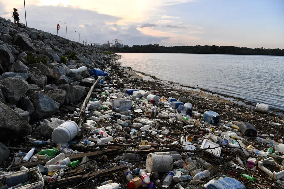 Just 14 per cent of the plastic packaging used globally is recycled, while 40 per cent ends up in landfills and 32 per cent in ecosystems, with the remaining 14 per cent incinerated.