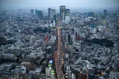 Tokyo’s debutants in 2023 are up an average of 75 per cent since their listings.