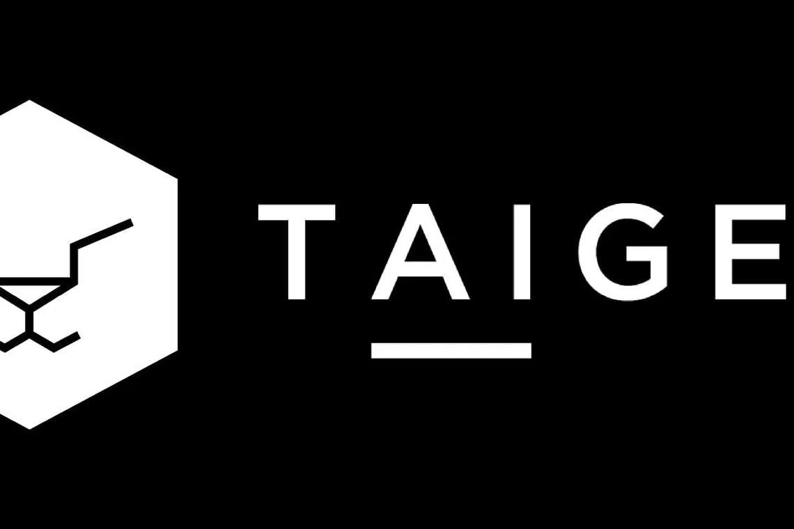 AI startup Taiger liquidates Singapore entity, over 80 staff cut