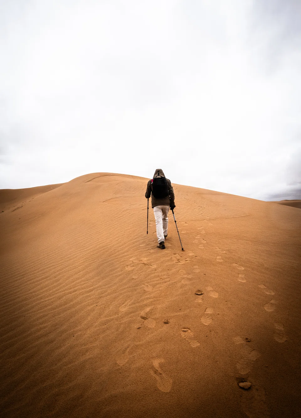 In the Gobi, low vegetation grows everywhere, interrupted by large sand dunes. 