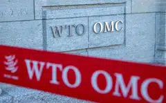 The panel will rule on whether certain tax credits under the IRA are compatible with international trade rules, the WTO says.